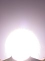 030824_59.jpg